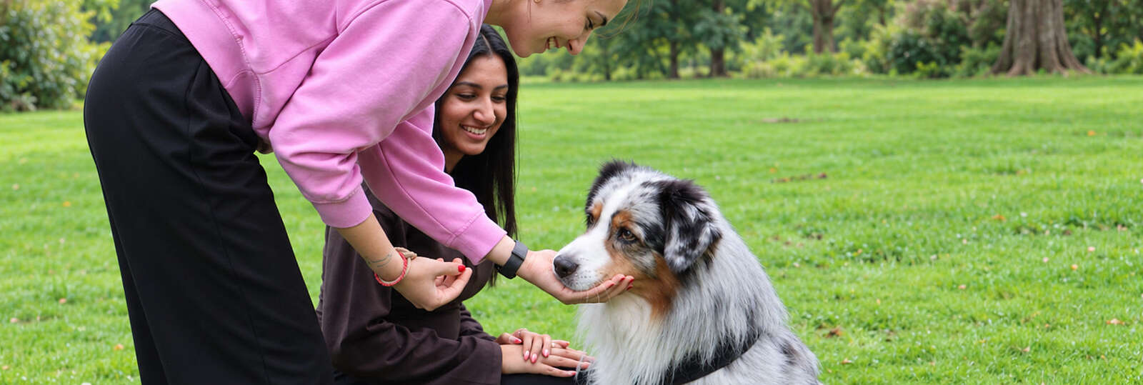 Ein Hund sitzt und eine Patientin streichelt den Kopf