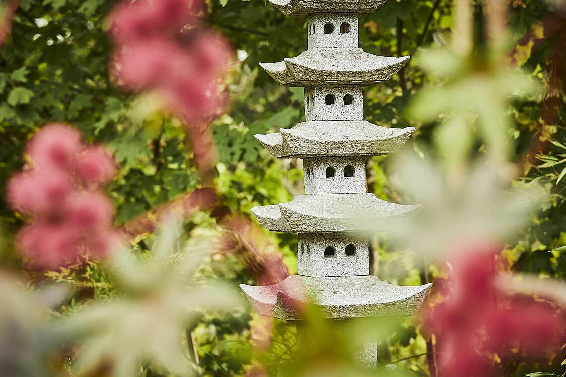 Therapiekonzepte für besondere Lebensphasen