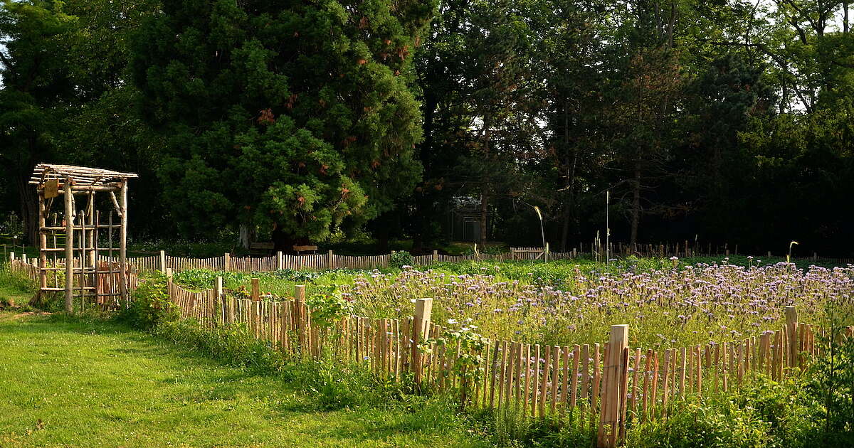 Permakultur: Resilienz & Achtsamkeit im Einklang