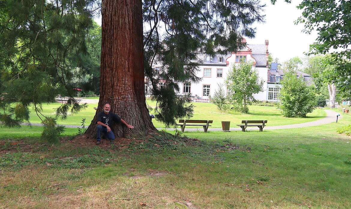 Ein Mann kniet vor einem Mammutbaum, im Hintergrund ist der Schlosspark zu sehen.